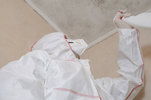 Water Damage Restoration in Mccall, ID
